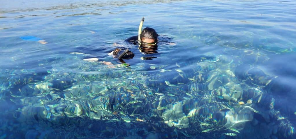 Nusa Penida Private Snorkeling