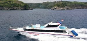 Tannis Fast Boat